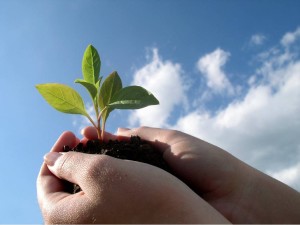 sustainable